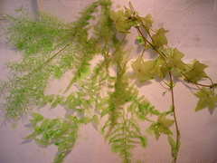 °ú¤¾å¤²Ä¾¸å£