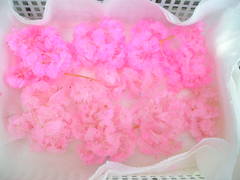 ���ե��������ʥԥ󥯡�