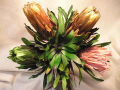 プロティアとリュウカデンドロンのプリザーブドフラワー