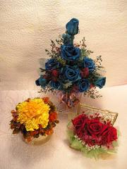 ����Դ���������