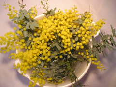 �ߥ⥶����