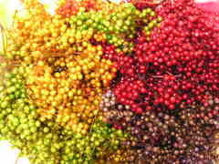 ペッパーベリーのプリザーブド加工