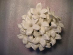 ���ƥե��Ρ��ƥ�������