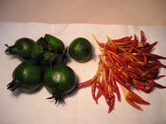 ����������ɻ�