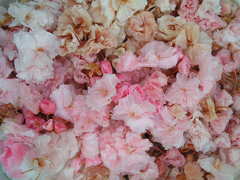 八重桜のプリザーブドフラワー♪　アップ